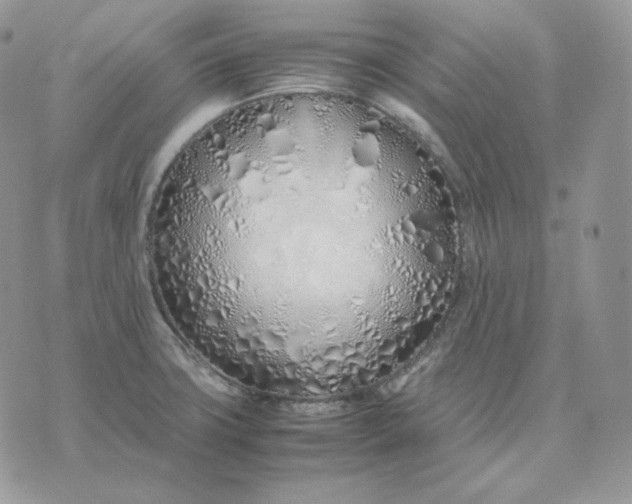 X0000075411427200609291655