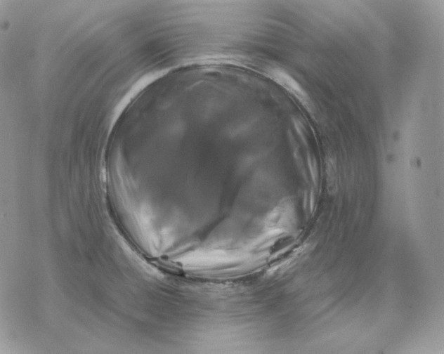 X0000075411428200609291655