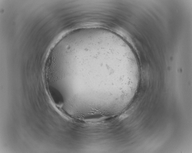 X0000075411429200609291655