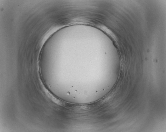 X0000075411431200609291655