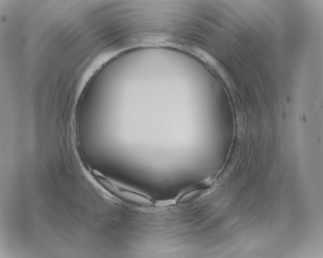 X0000075411432200609291655