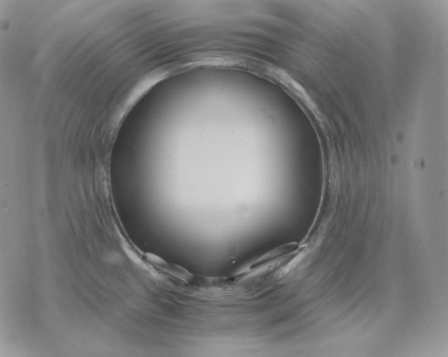 X0000075411433200609291655