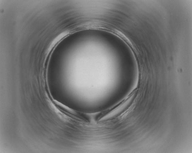 X0000075411434200609291655