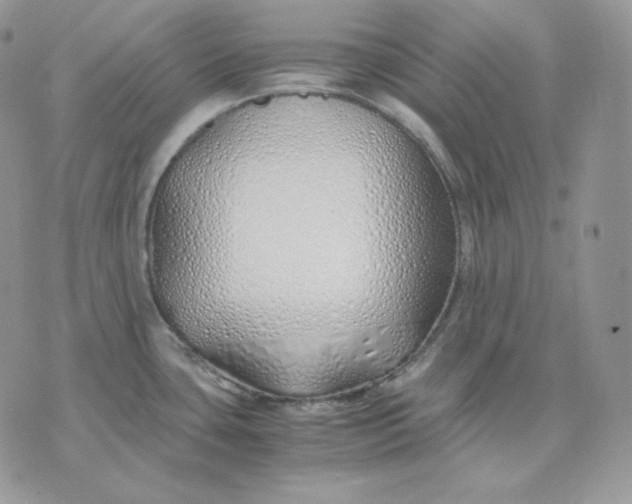 X0000075411435200609291655