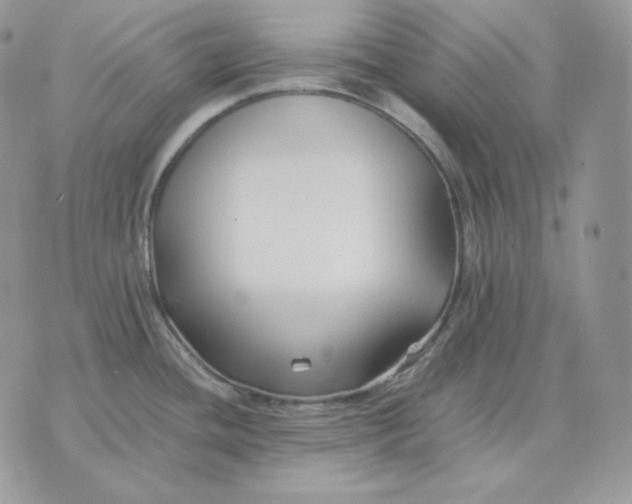 X0000075411436200609291655