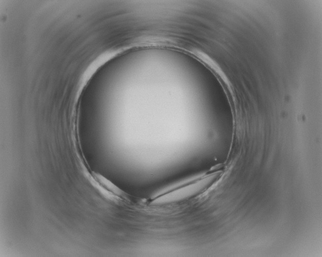 X0000075411437200609291655