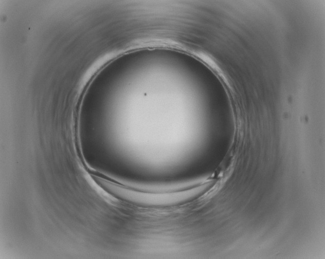 X0000075411438200609291655