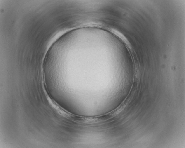 X0000075411439200609291655