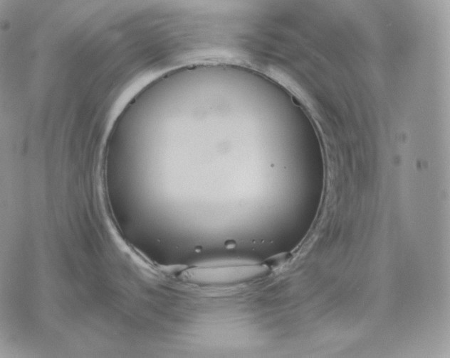 X0000075411440200609291655