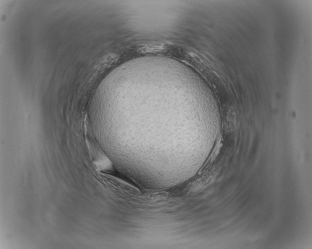 X0000075411441200609291654