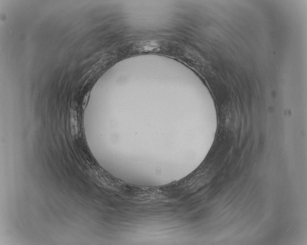 X0000075411442200609291654