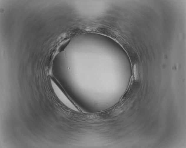 X0000075411443200609291654