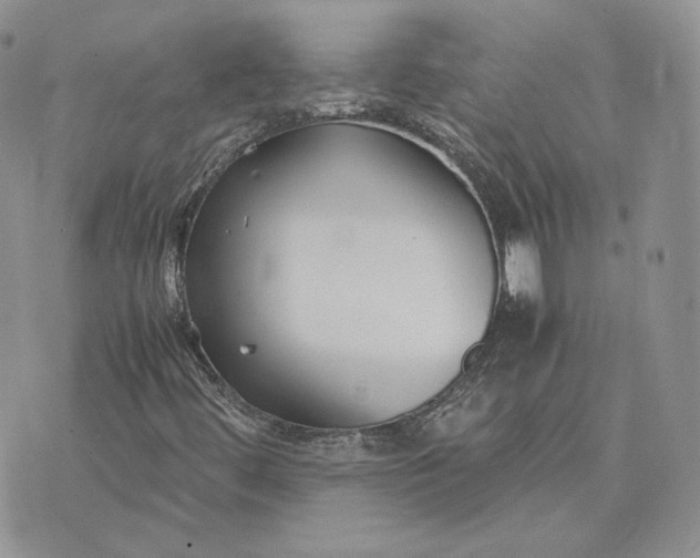 X0000075411444200609291654