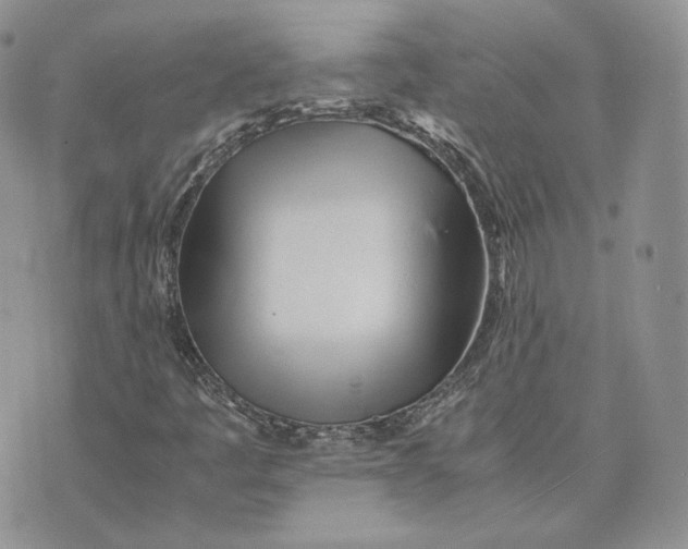 X0000075411445200609291654