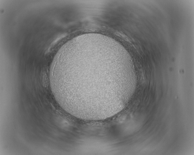 X0000075411446200609291654