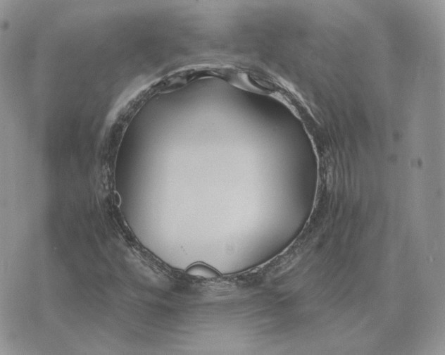 X0000075411448200609291654