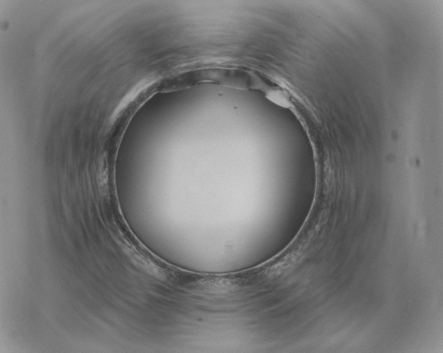 X0000075411450200609291654