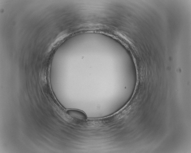 X0000075411451200609291654