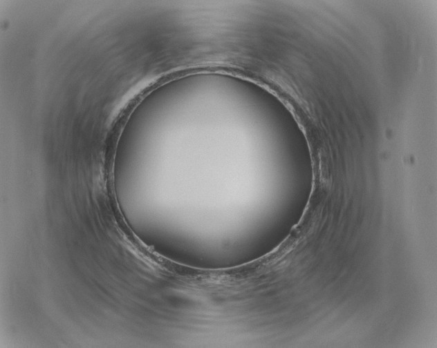 X0000075411452200609291654