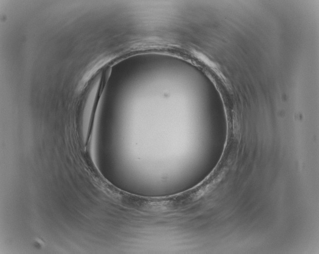 X0000075411453200609291654