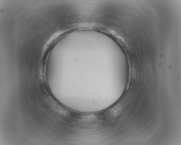 X0000075411454200609291654