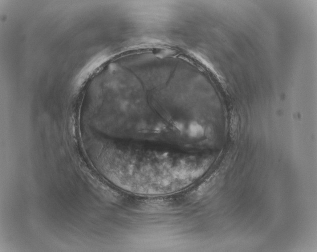 X0000075411455200609291654