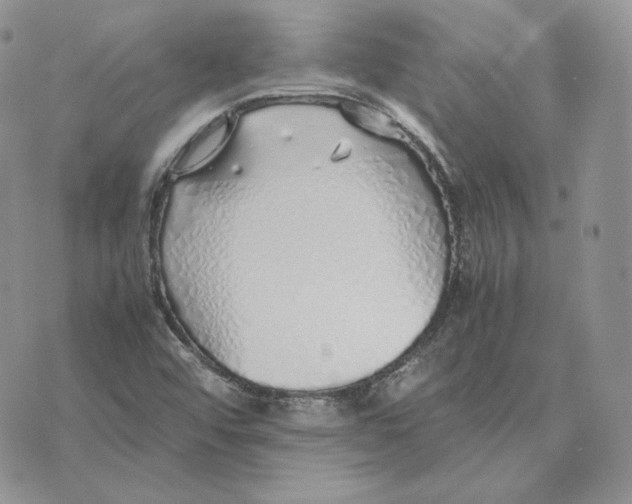 X0000075411456200609291654