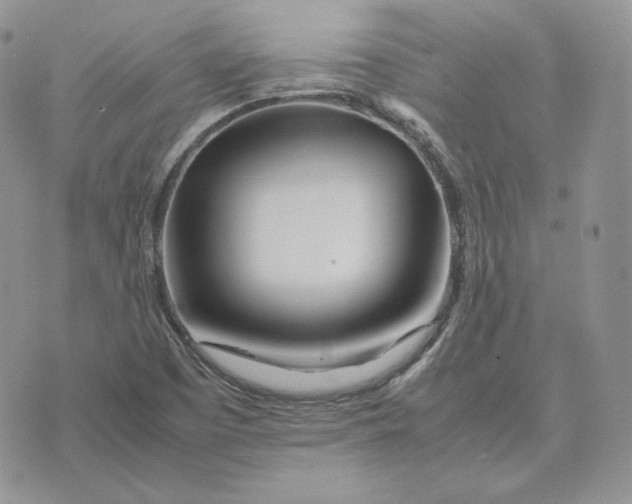 X0000075411457200609291654