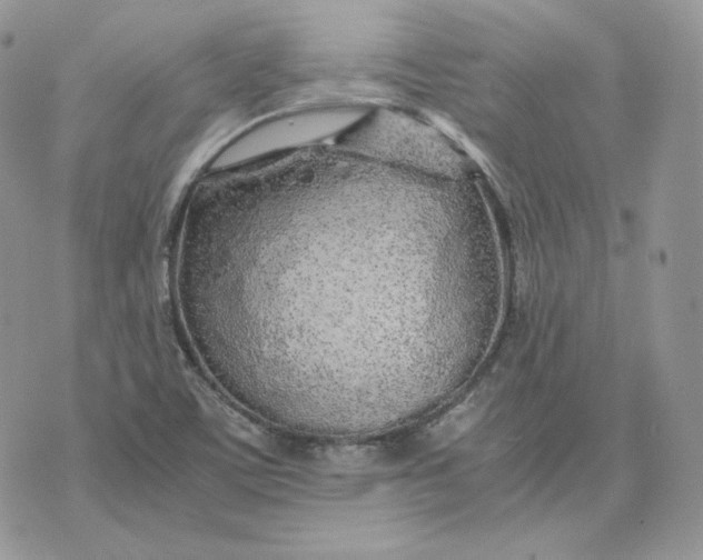 X0000075411459200609291654