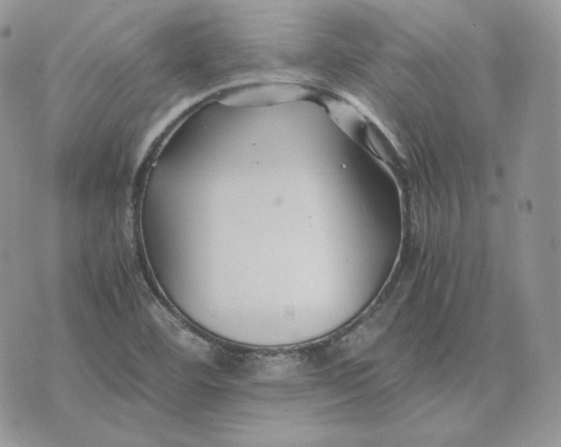 X0000075411460200609291654