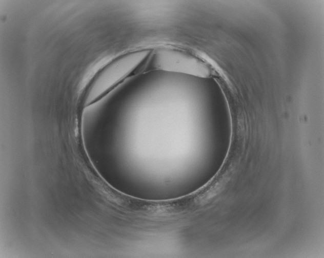 X0000075411461200609291654