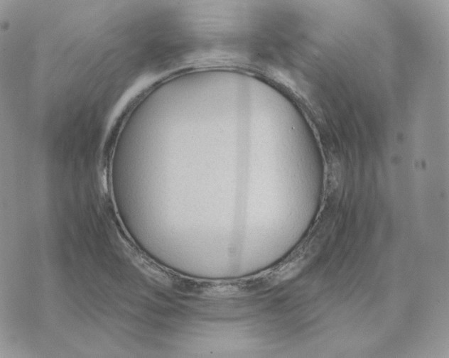 X0000075411462200609291654