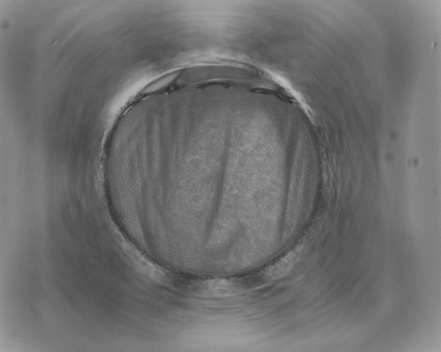 X0000075411463200609291654