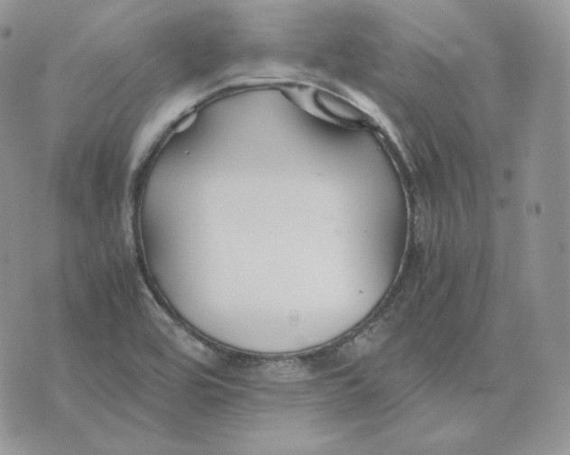 X0000075411464200609291654