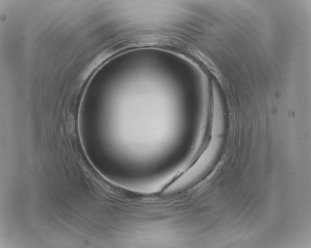 X0000075411465200609291654