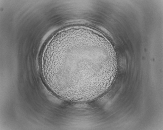 X0000075411466200609291654