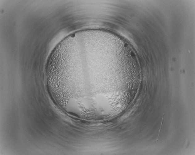 X0000075411467200609291654