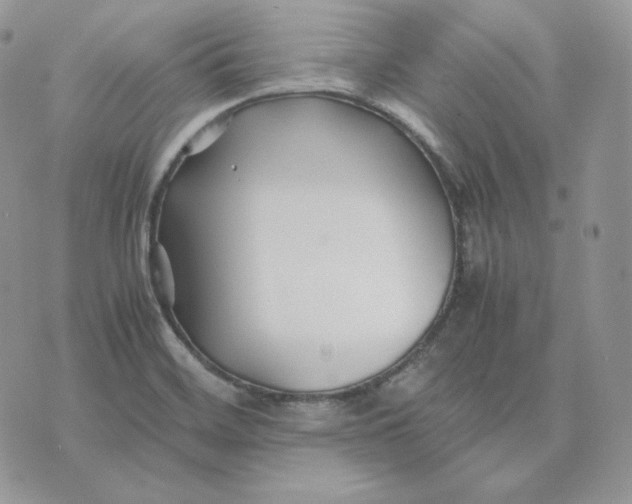 X0000075411468200609291654