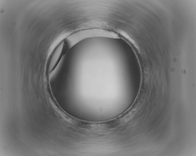 X0000075411469200609291654