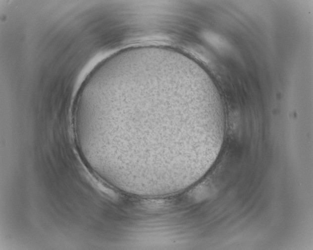 X0000075411470200609291654