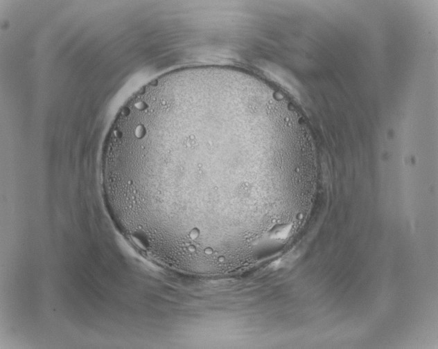 X0000075411471200609291654