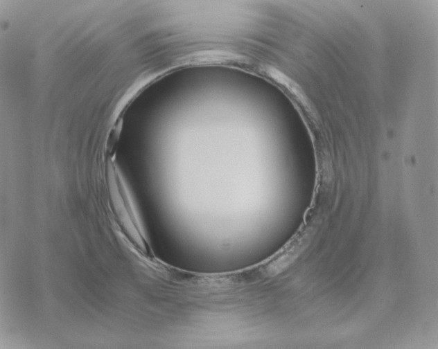 X0000075411473200609291654