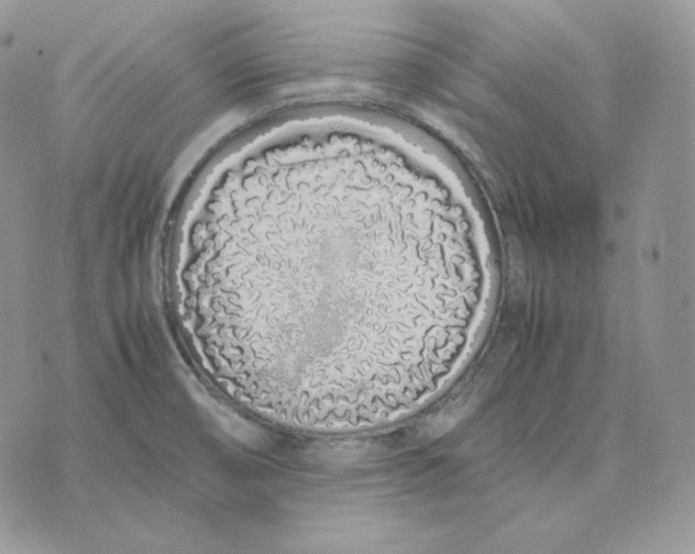 X0000075411474200609291654