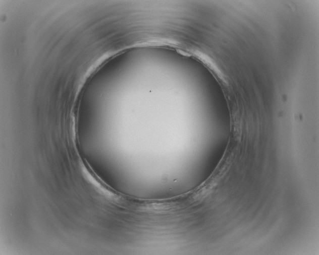 X0000075411476200609291654