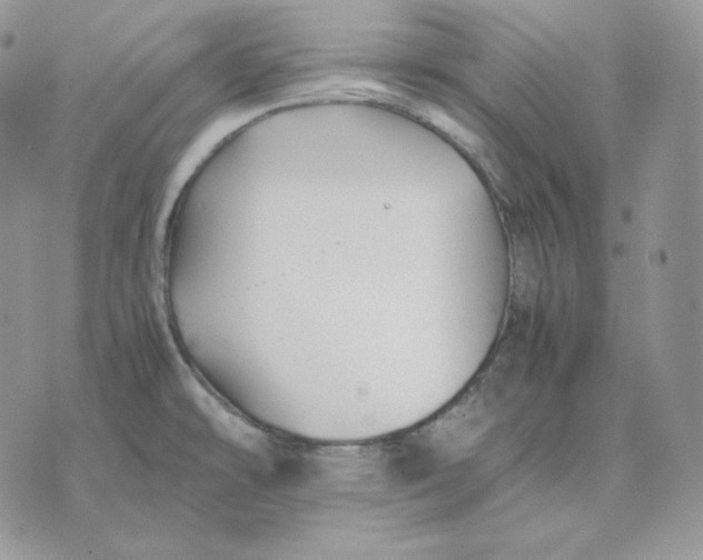 X0000075411478200609291654