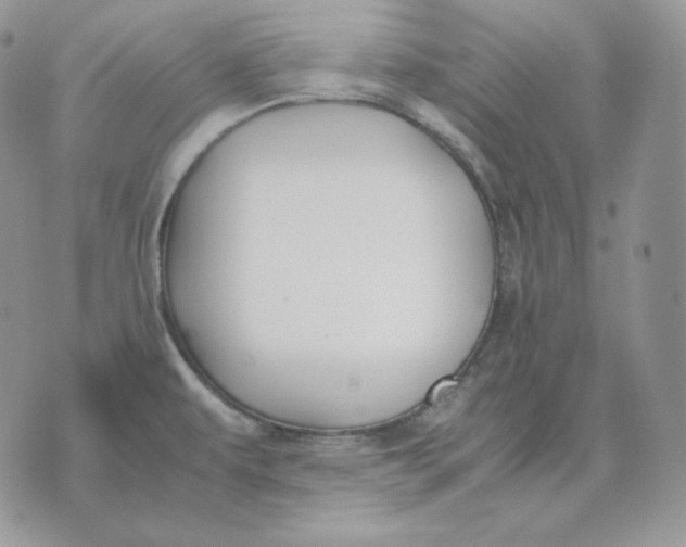 X0000075411479200609291654