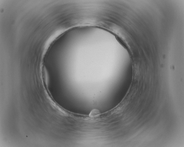 X0000075411480200609291654