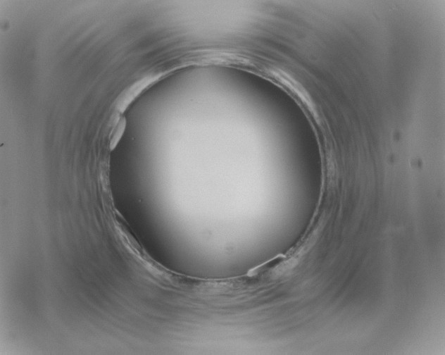 X0000075411481200609291654