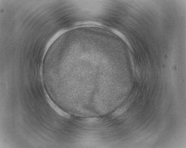 X0000075411482200609291654