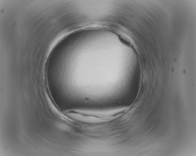 X0000075411483200609291654